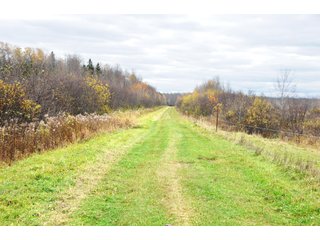 Property photo 42 - REAL ESTATE AUCTION - 1,428+/- ACRES OFFERED IN 10 TRACTS IN PRICE CO., WI